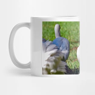 American White Ibis Mug